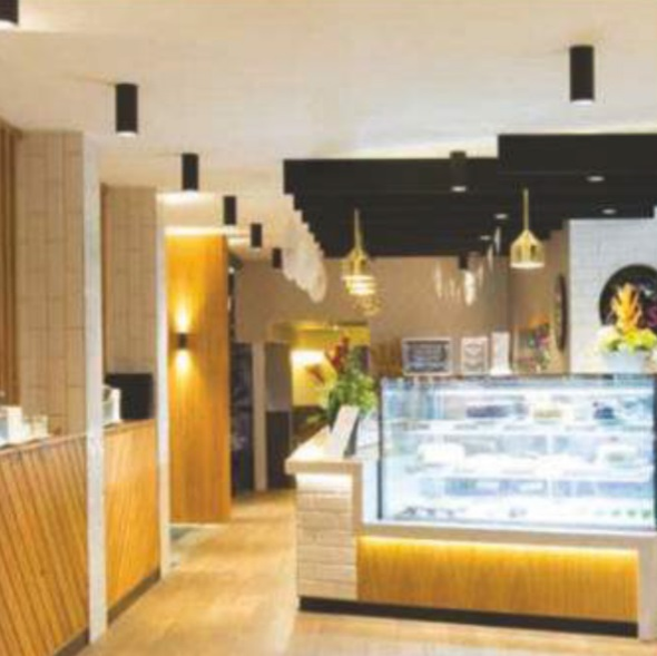 LED Cylindrical Surface Down Light